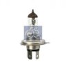 DAF 1354893 Bulb